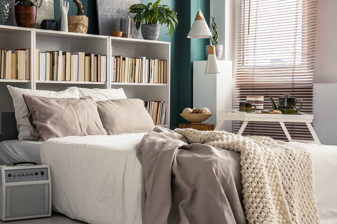 studio apartment with a bookcase as its headboard